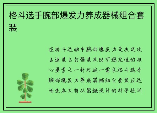 格斗选手腕部爆发力养成器械组合套装