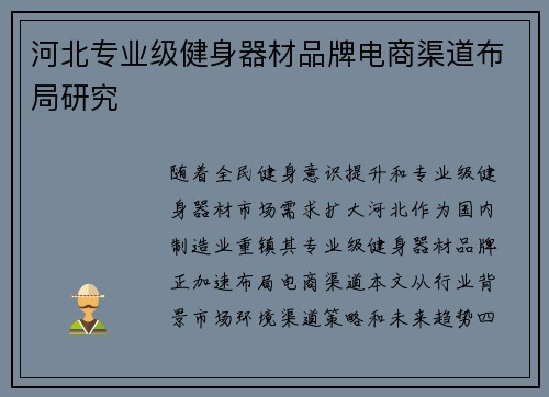 河北专业级健身器材品牌电商渠道布局研究